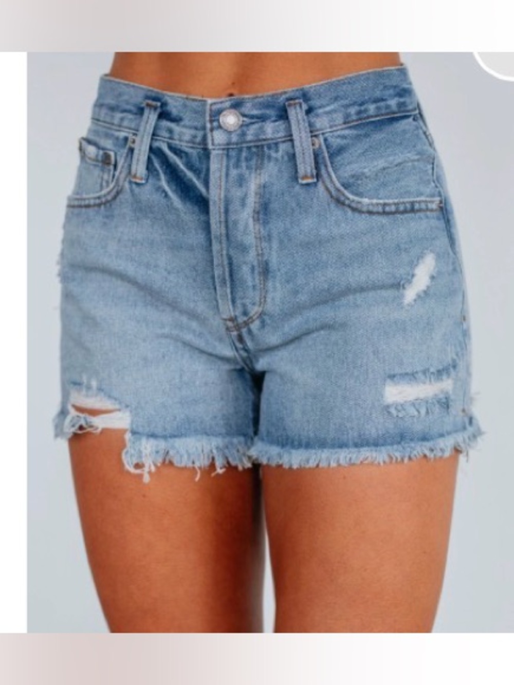 NWT Daytona Denim Shorts
